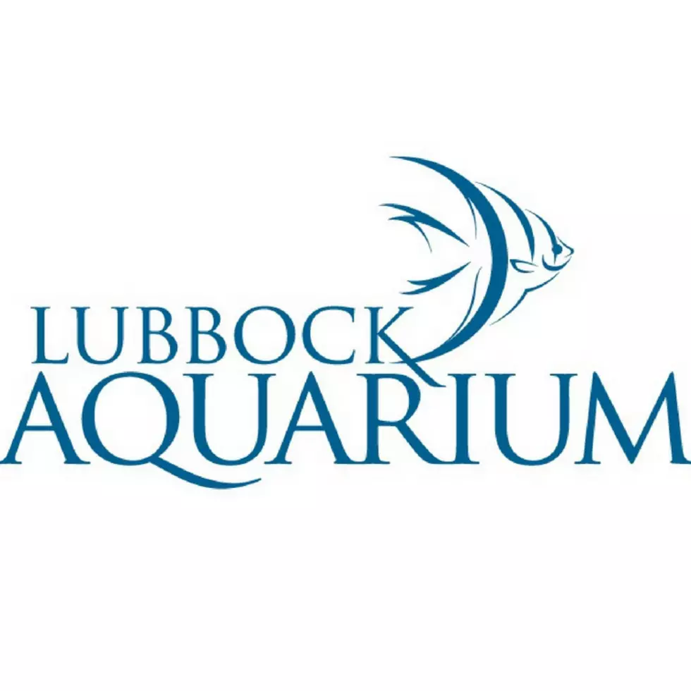 Aquarium In The Works For The Hub City