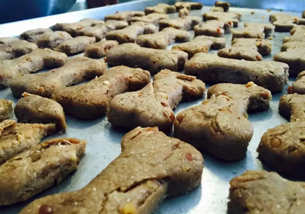 Spoil Your Pets With Cute Handmade Products From This Small Lubbock Business