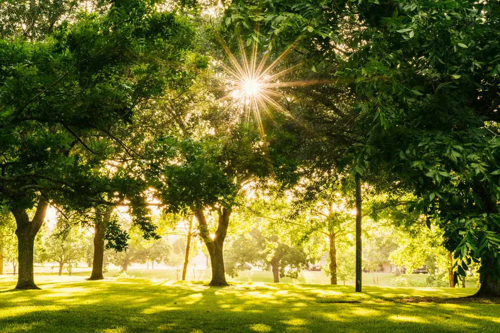 Keep Your New Year’s Resolution Going Strong At These 9 Lubbock Parks