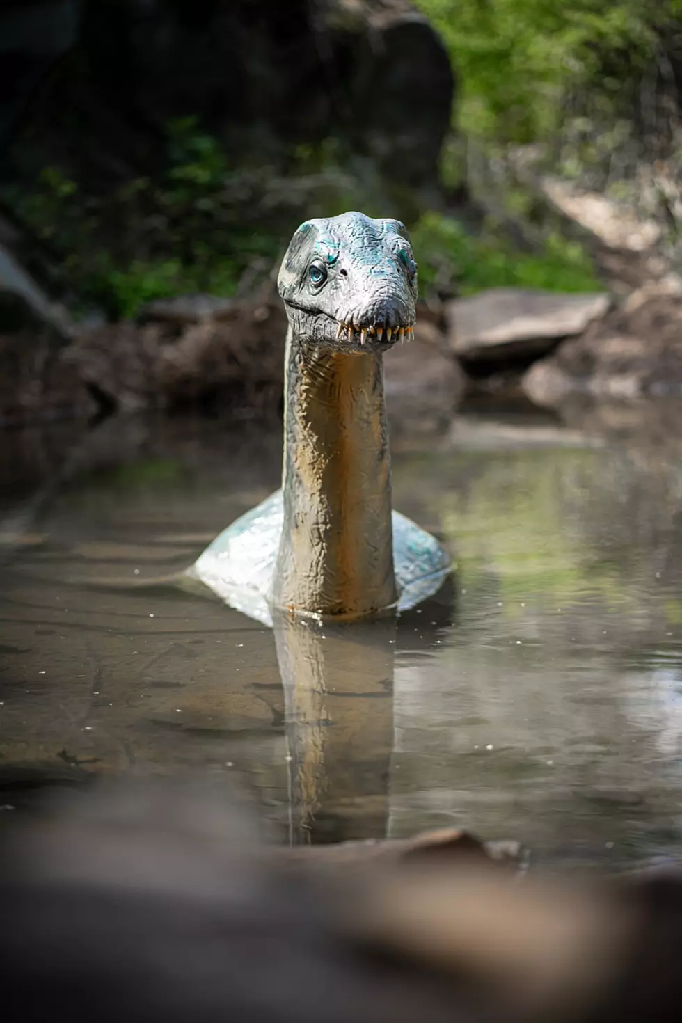 Did The Loch Ness Monster Pack Up And Move To Houston, Texas?