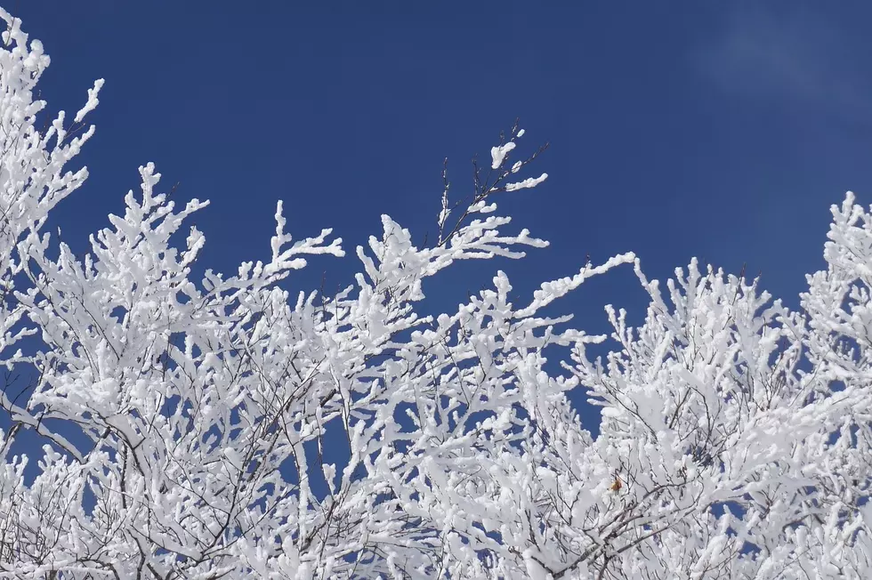 Lubbock’s Long-Awaited First Freeze Still Missing in Action!